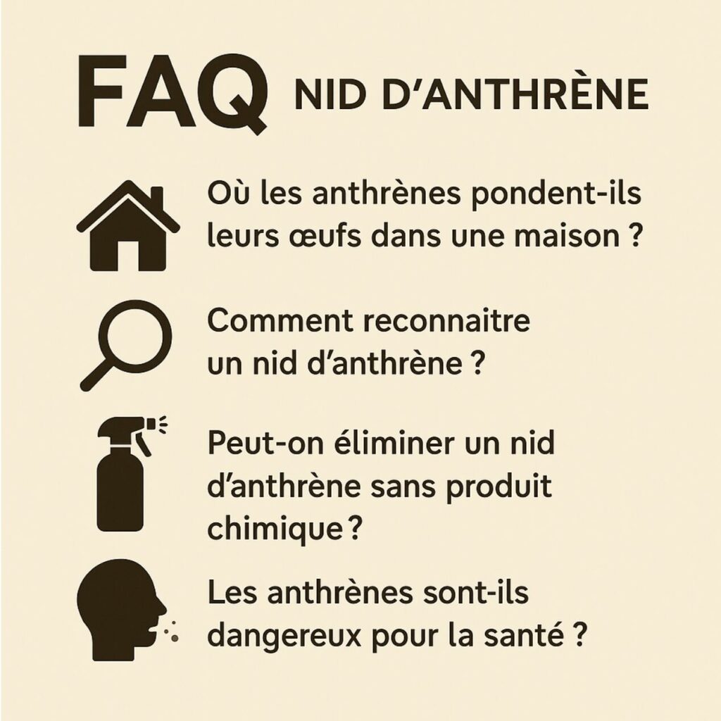 questions les nids d'anthrènes