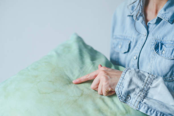 traces de punaises de lit