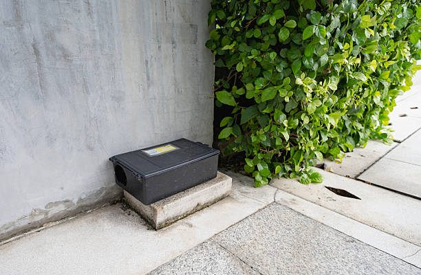poste appat rongeurs immeuble