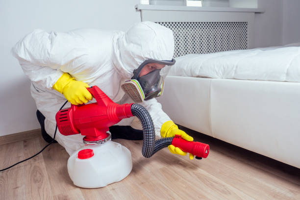 technicien traitement punaise de lit