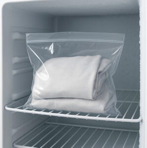 punaise de lit vêtement au congélateur