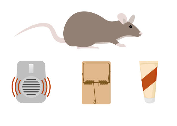 solution contre rongeurs