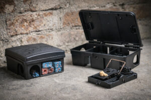 avantages des appâts anti rat pièges