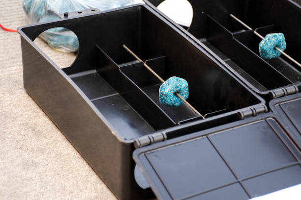 boîte appât anti rats