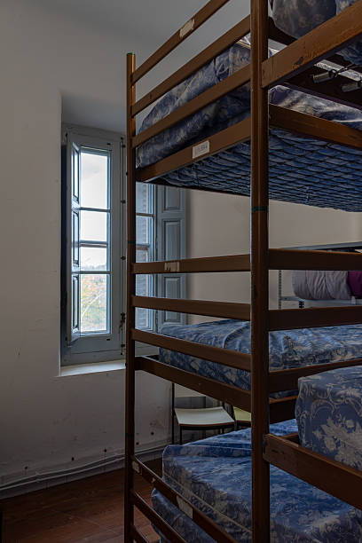 punaises de lit internat