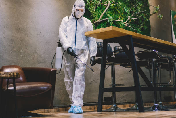 Traitement professionnel des nuisibles dans un restaurant